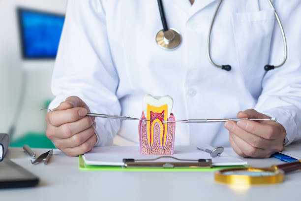 Best Root Canal Emergency Dentist  in Bloomfield, IA